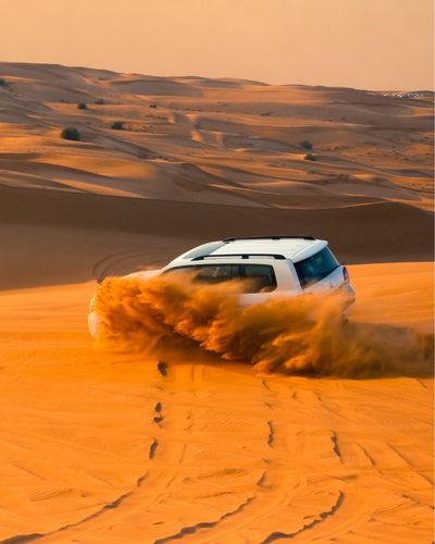 Full-Day Desert Adventure